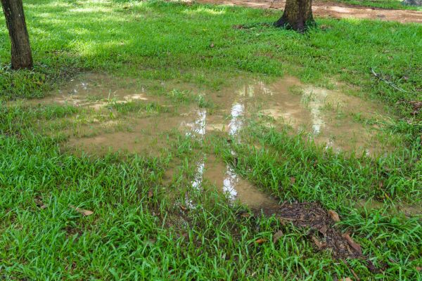 Storm Water Drainage Service in Kokomo