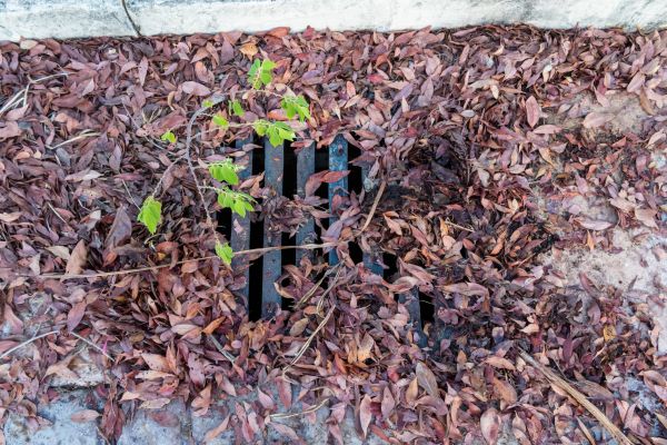 Yard Drain Unclogging in Kokomo