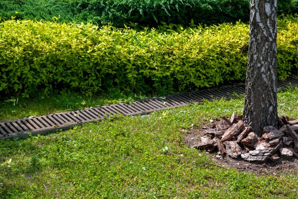 Residential Landscape Drainage in Kokomo