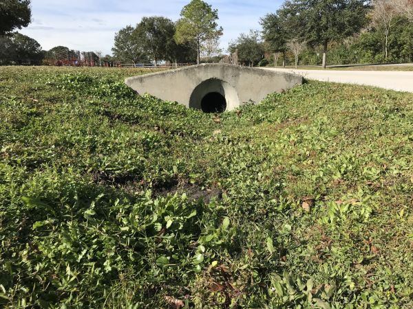 Swale Drainage Service in Kokomo